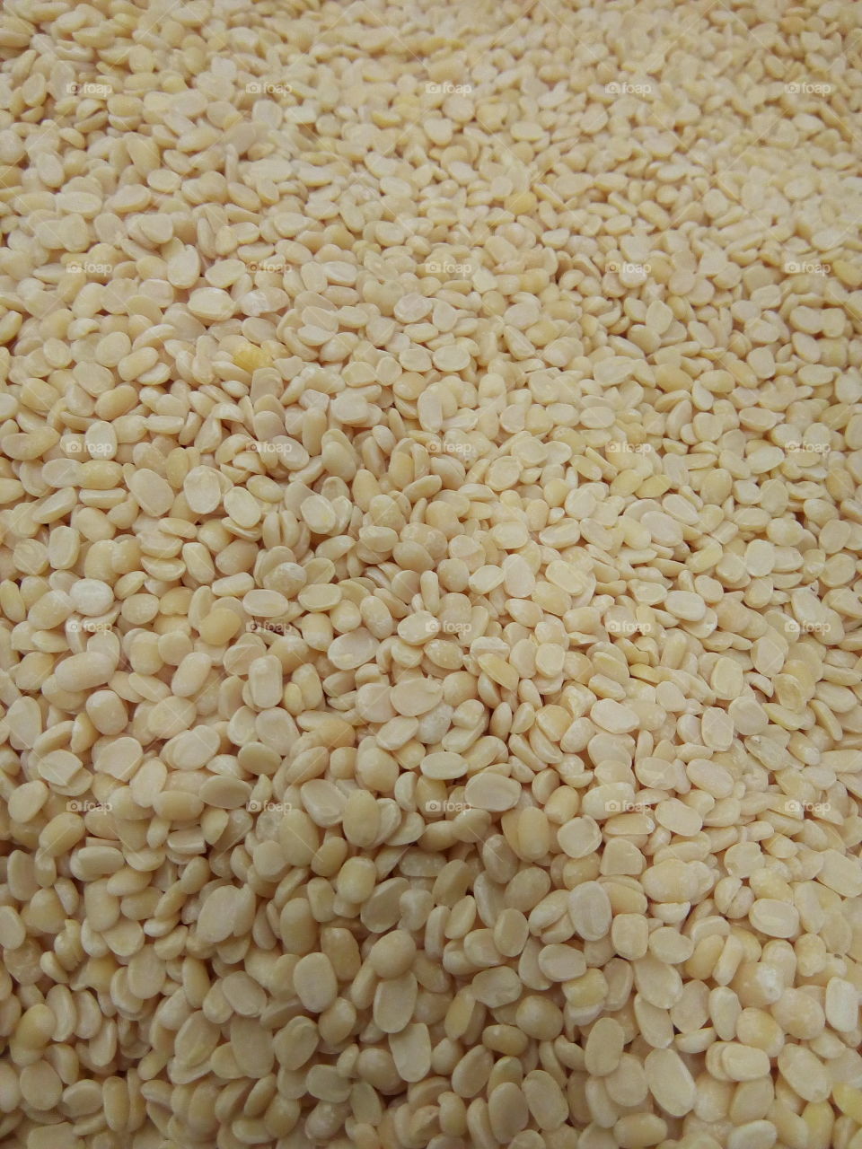 toor dal,” Split Pigeon Peas- a very common dish in India.