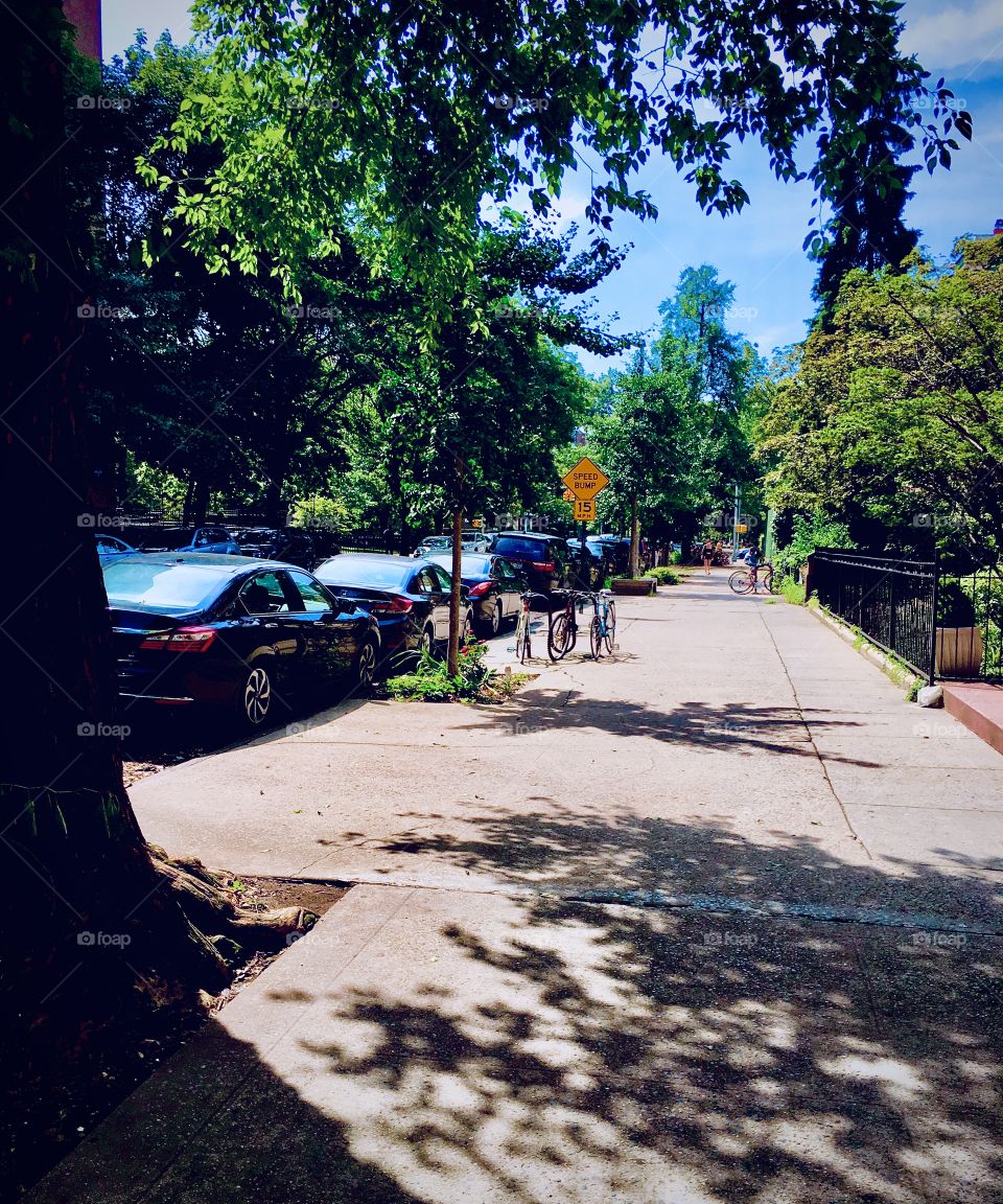 A sidewalk in Forest Green, Brooklyn, New York on a late afternoon in the summer of 2020.