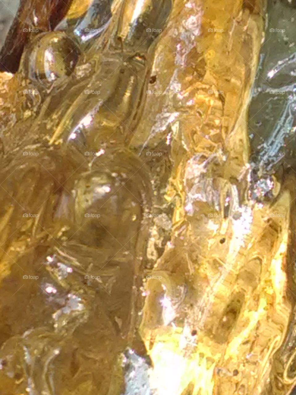 Dried gum hanging from four trees