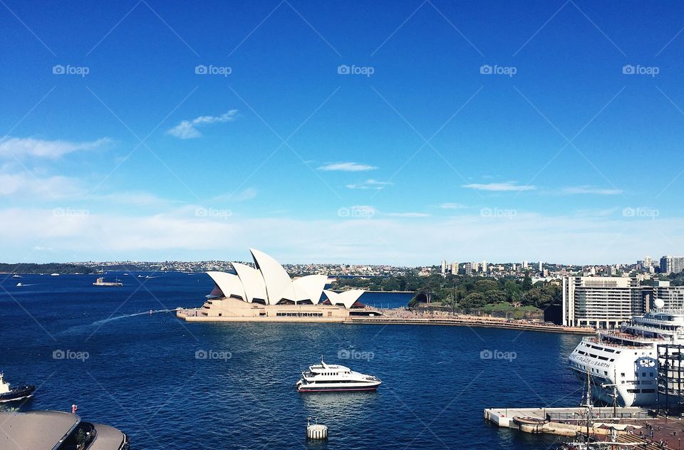 Sydney Harbor 