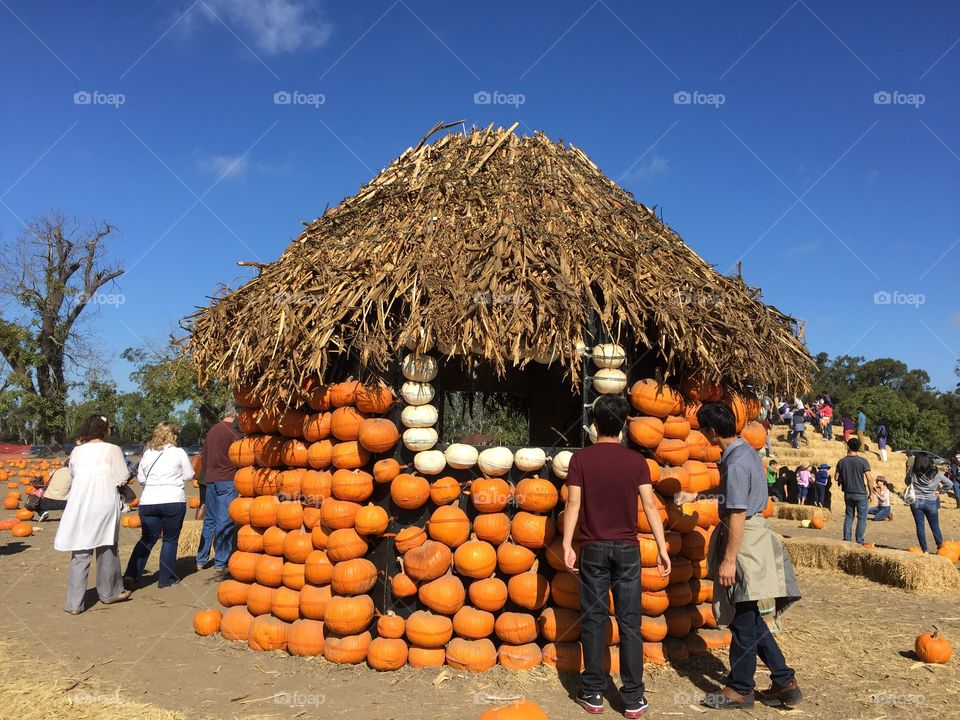 Pumpkin hut