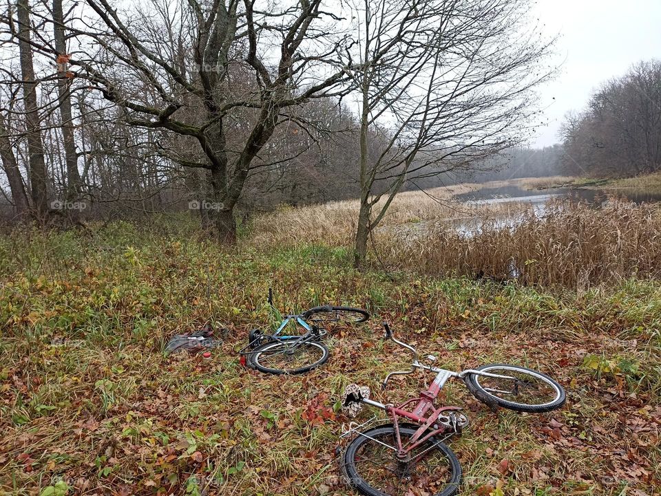 Bicycles in the forest