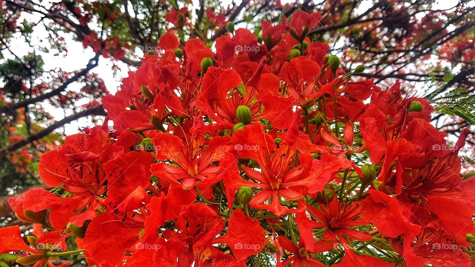 Good health & happiness to u.