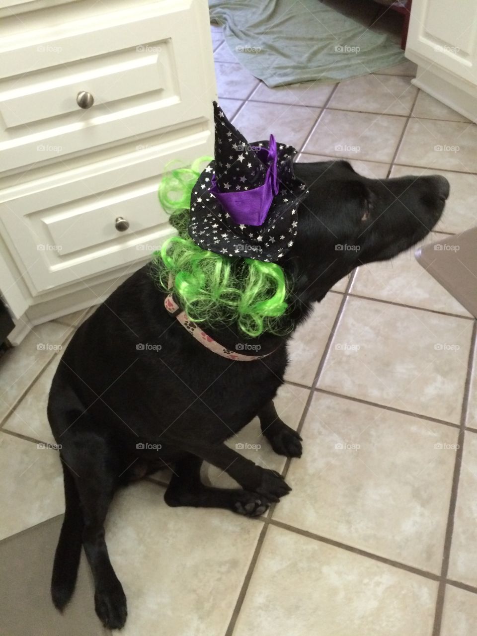 Witch Leesa?. Leesa with her Halloween costume 