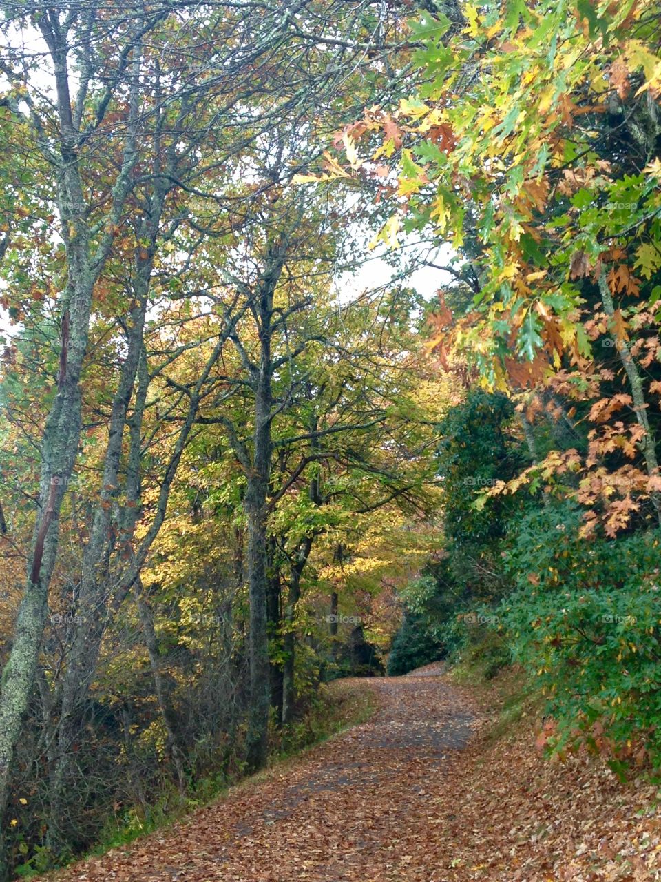 Fall hiking 