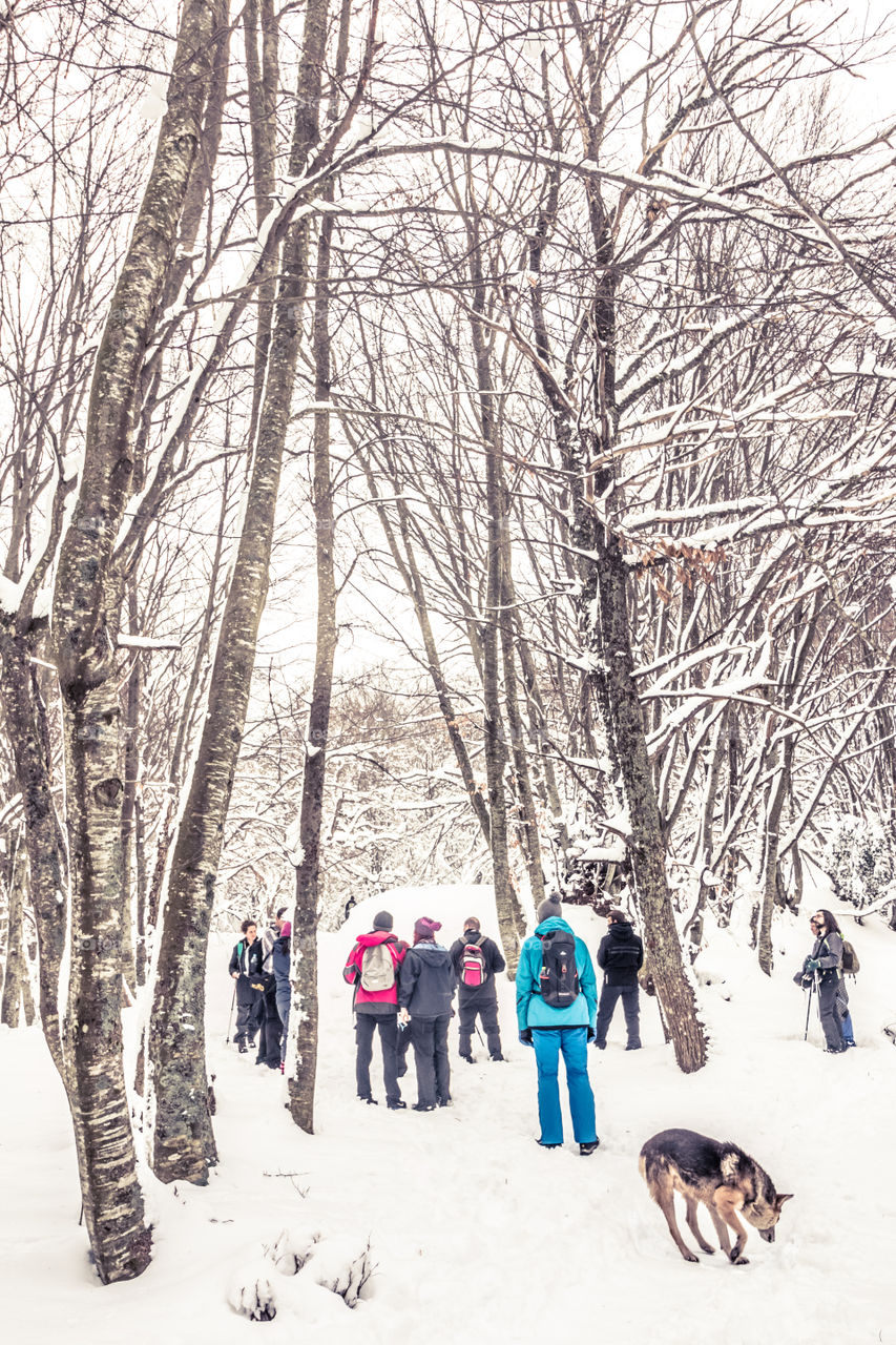 Group Of People On Snowy Mountain In Winter
