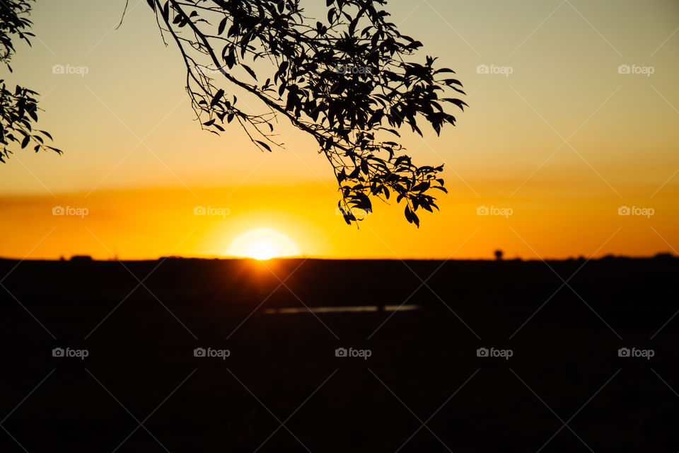 Sunset landscape