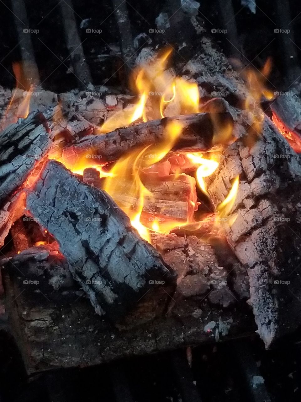 Campfire