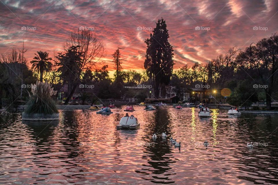 sunset in the park, reflected the sky in the lagoon while the ducks swim