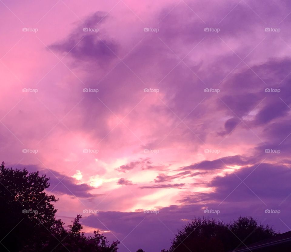 Pink sky 