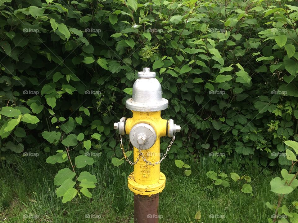 Hydrant 