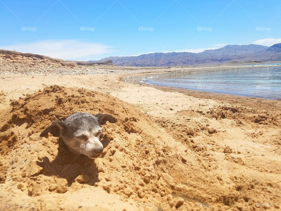 Water, Nature, No Person, Sand, Summer