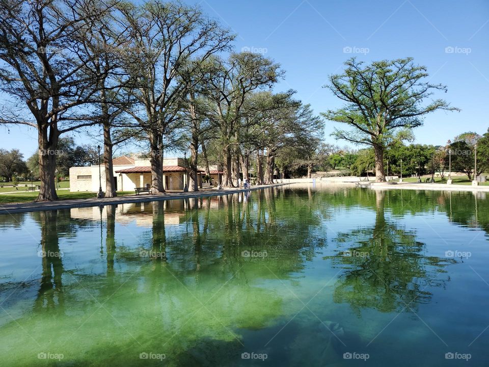 A beautiful spring fed pool surrounded by old cypress trees that reflect beautifully in the water. The sunlight illuminates the water highlighting various Beautiful colors like emerald green, jade green, forest green, mint green and blues.