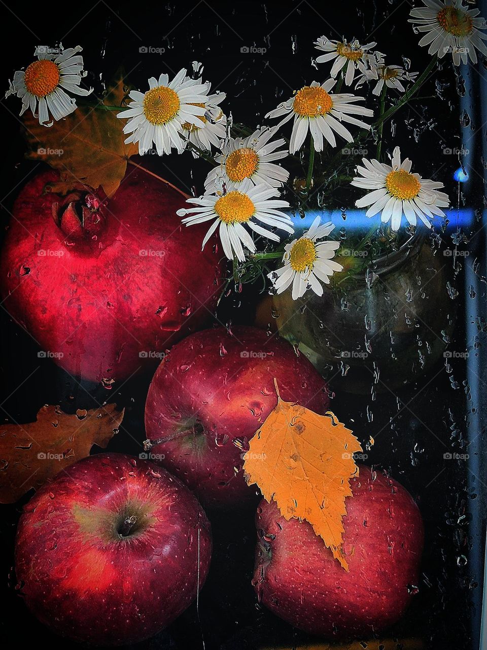 Autumn.  View of the window from the outside.  Outside the window are red apples, a red pomegranate and a bunch of daisies.  Yellow autumn leaves stuck to the window and raindrops flow down