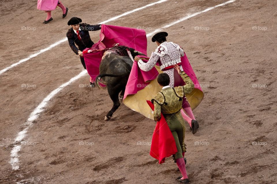 bullfighter