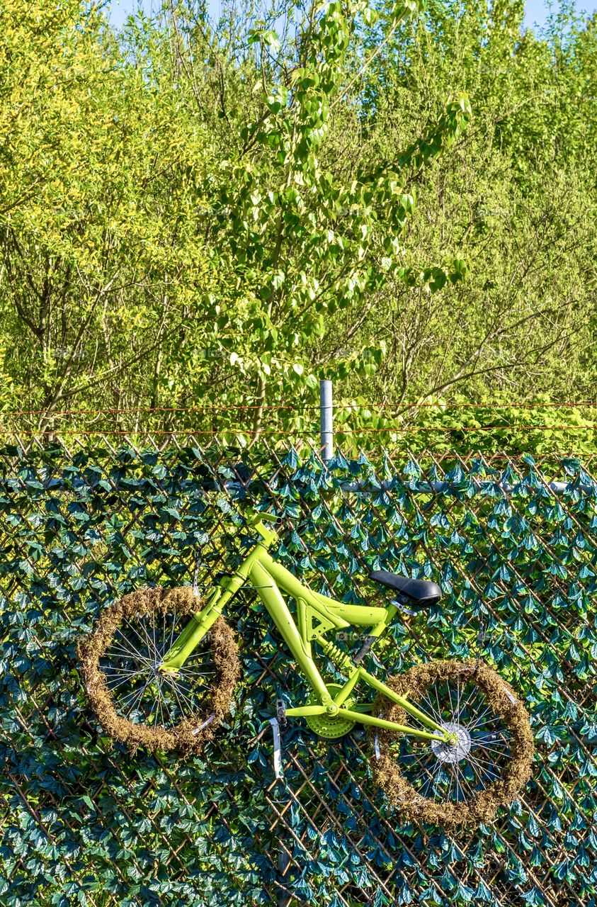 Green bike with moss on tires hangs on leaf-covered fence with trees in background 