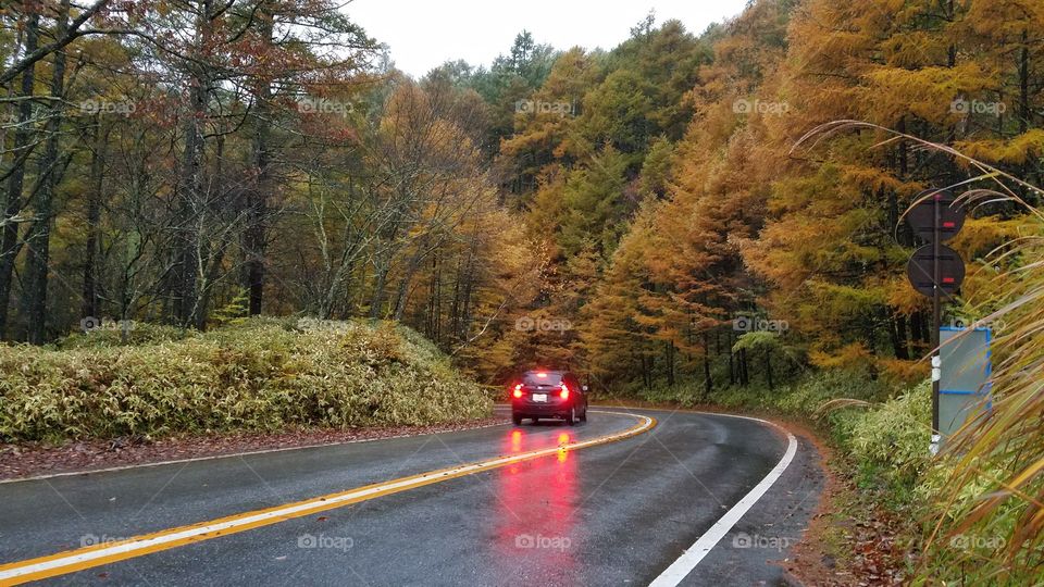 Fall road trip