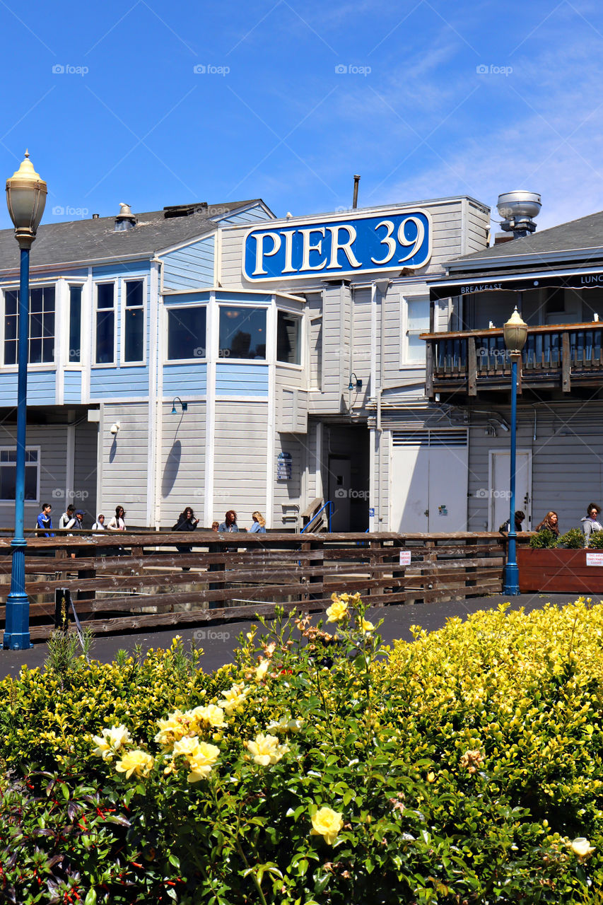 Pier 39