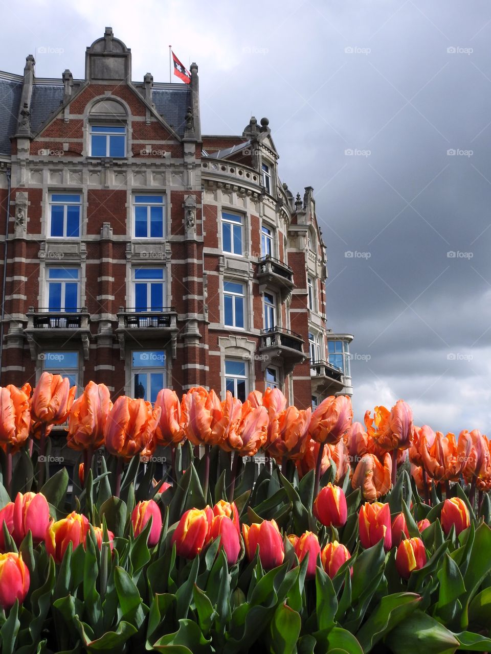 Amsterdam in Spring