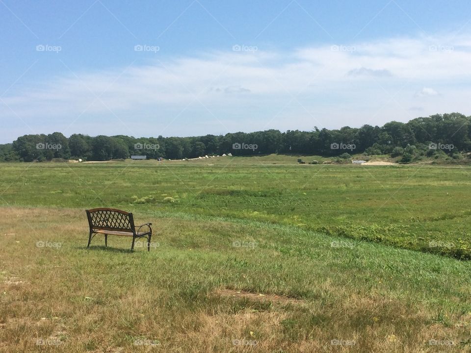 Bench of solitude. Single bench overlooking cranberry bog