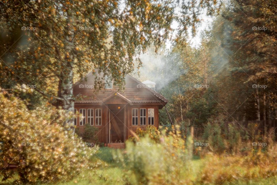 Summer countryside landscape with wooden house