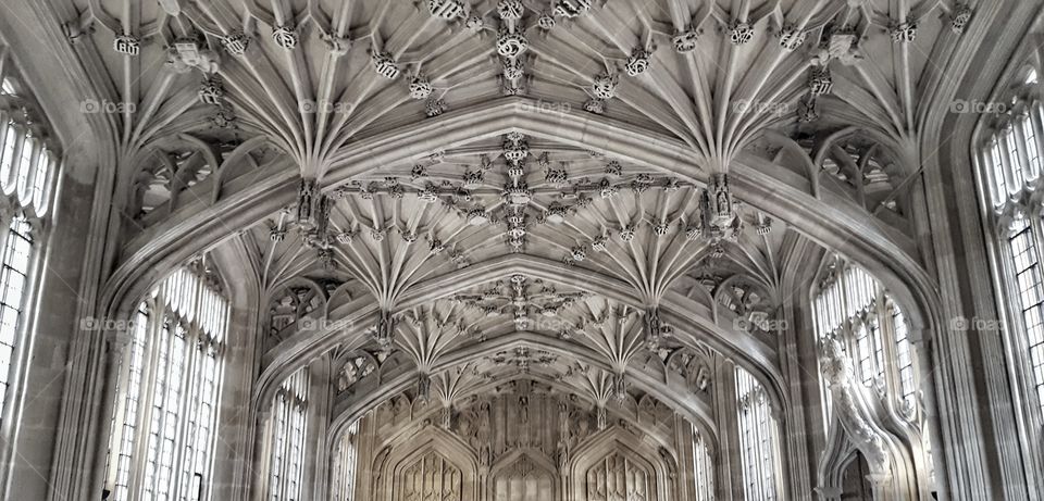 beautiful gray stone ceiling richly decorated