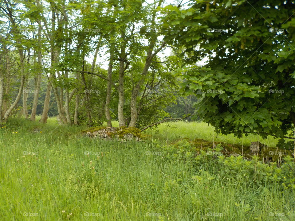 Greetings from Ulley long burrow site Uk 