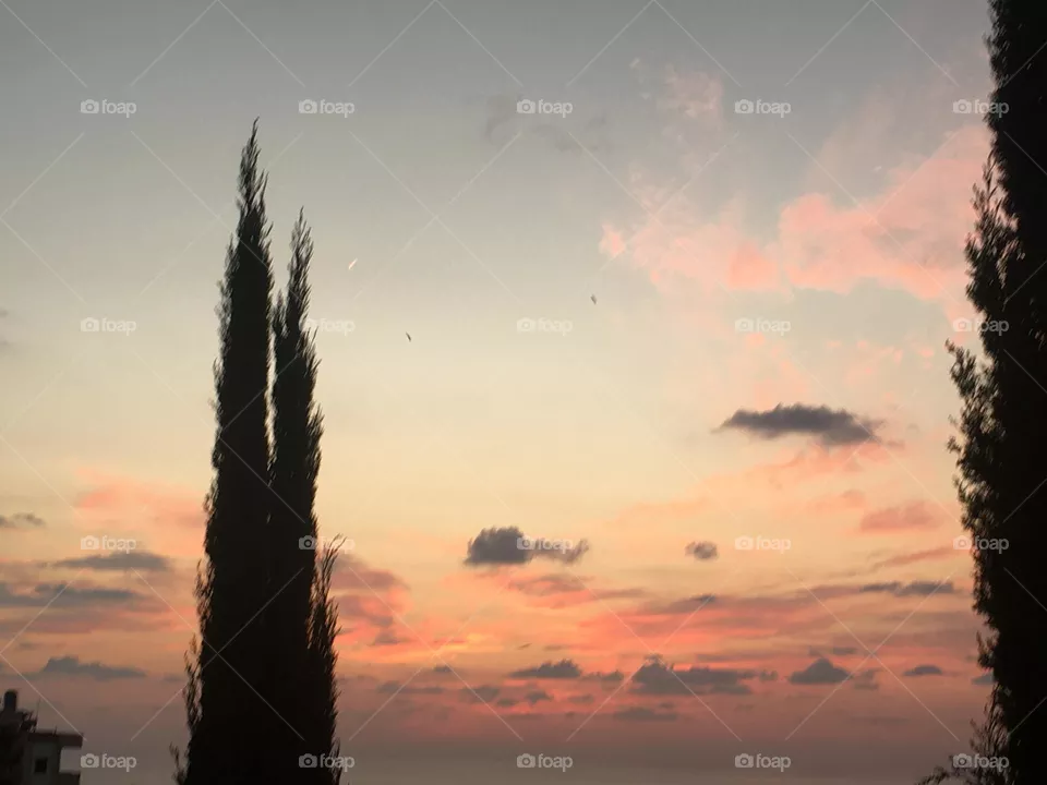 sunset