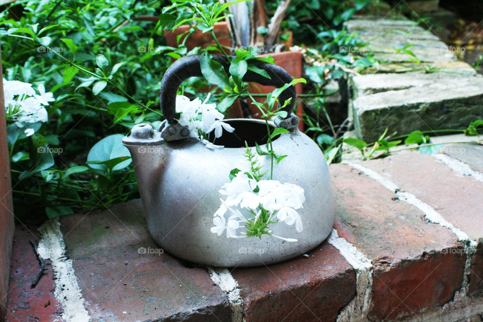 Water kettle in garden