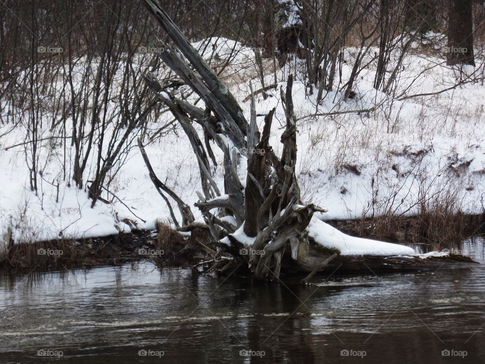 Northern Michigan 