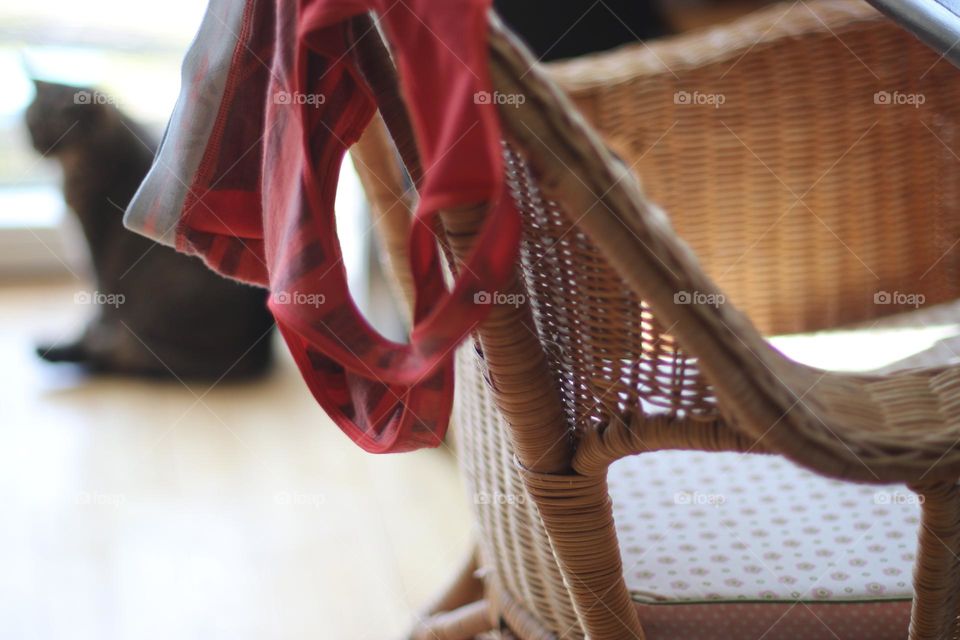 Close-up of an item of clothing on a wicker chair with cat by the window in the background