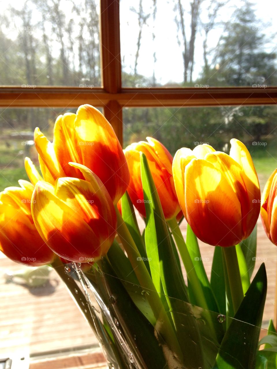 Mother's Day bouquet . Orange tulips 