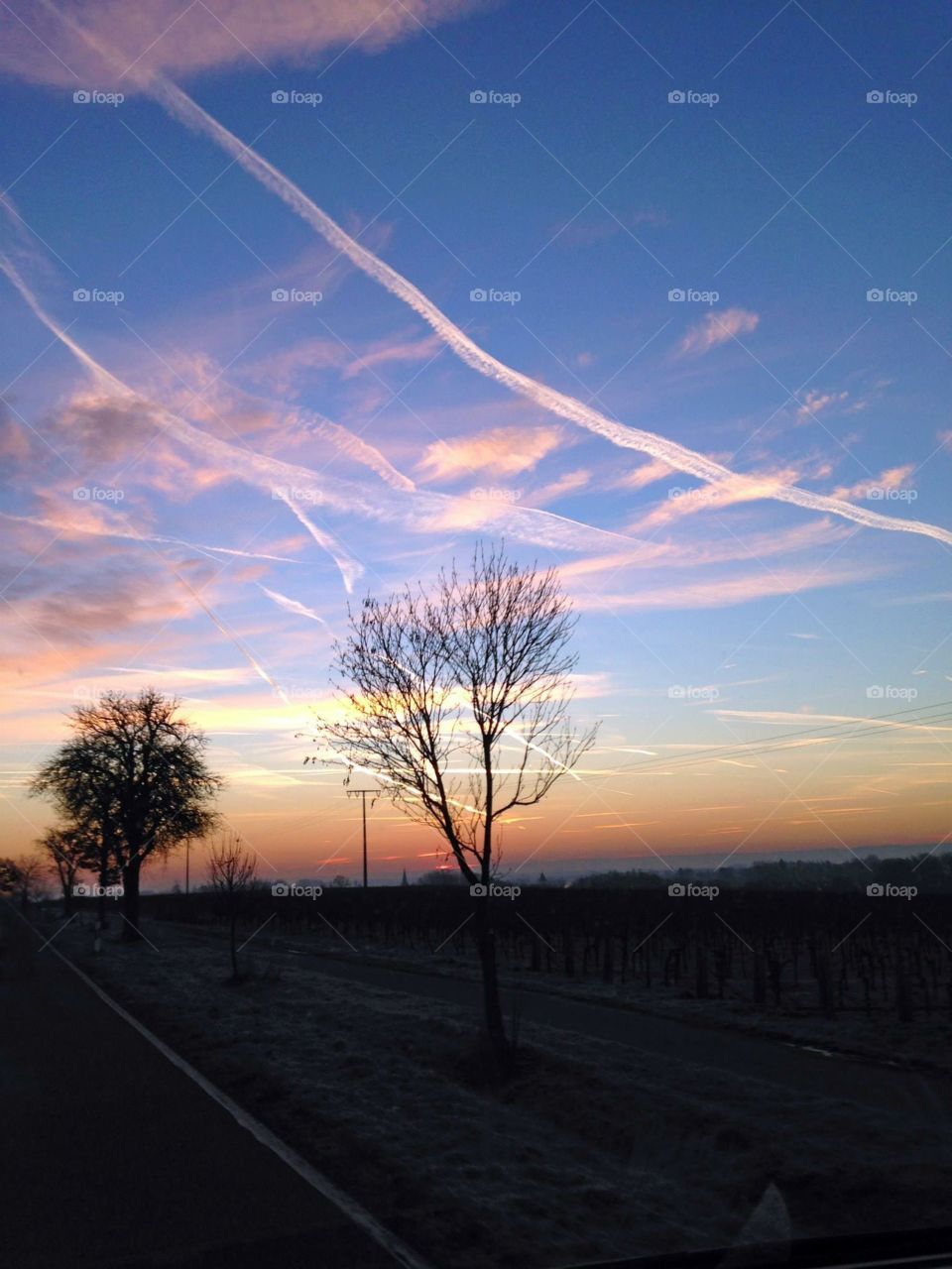 Sonnenaufgang in der Südpfalz - Dezember