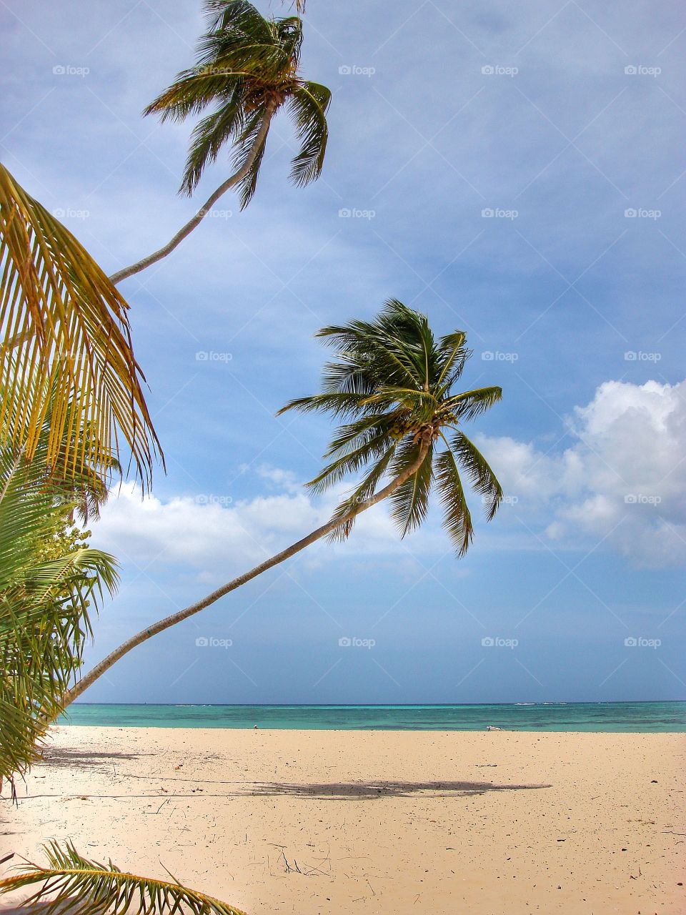 Pigeon Point Tobago