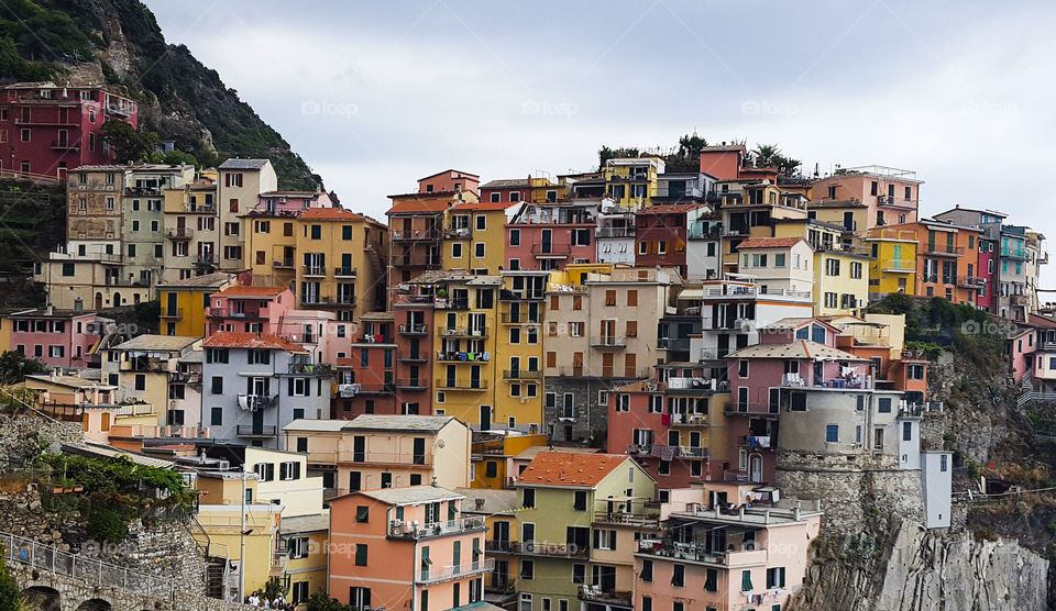 Houses in Manarola in Italy