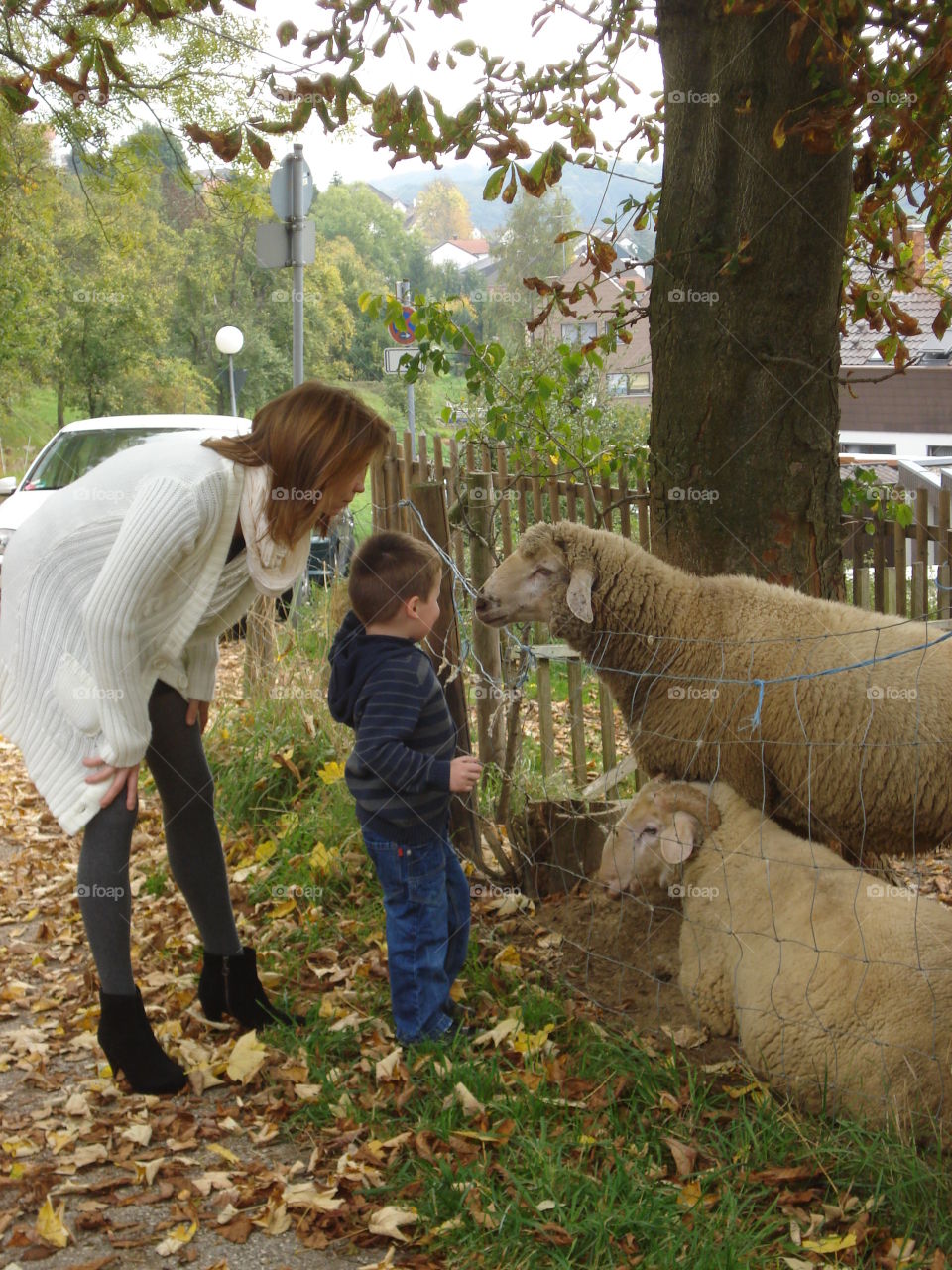 Mutter,Kind und Schaf