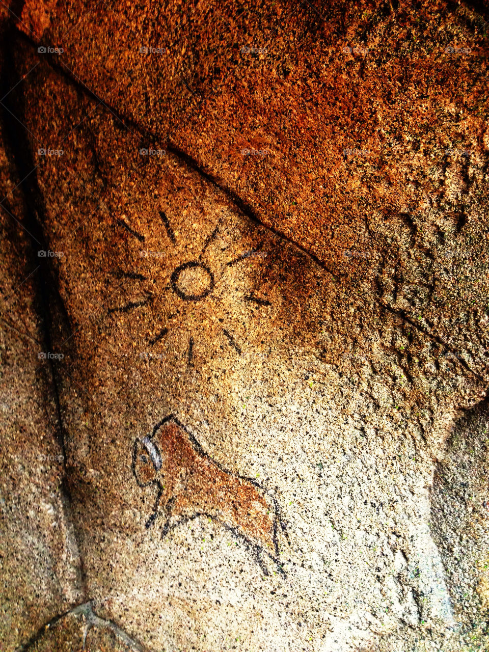 Prehistoric cave paintings of buffalo in Old West America