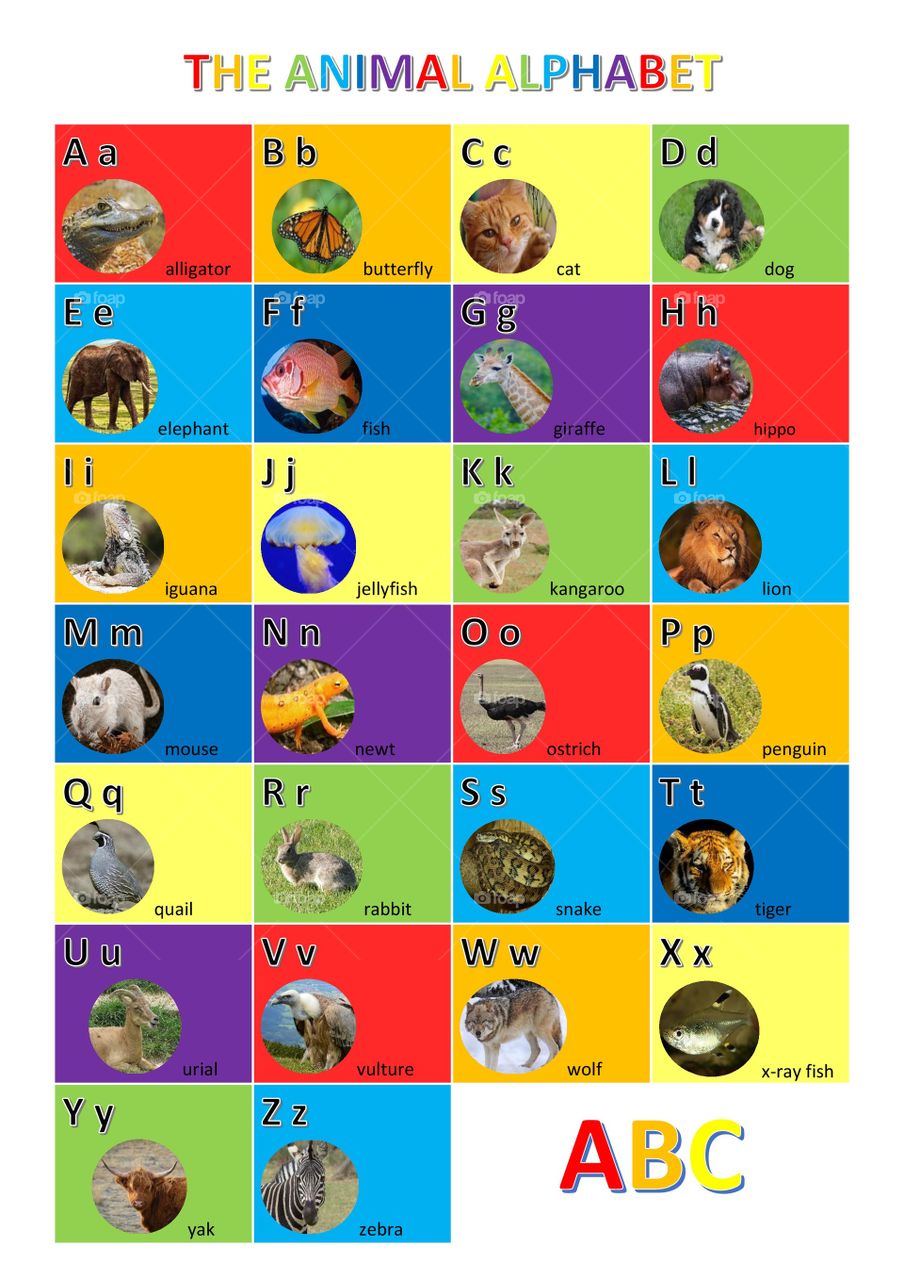 The alphabet poster