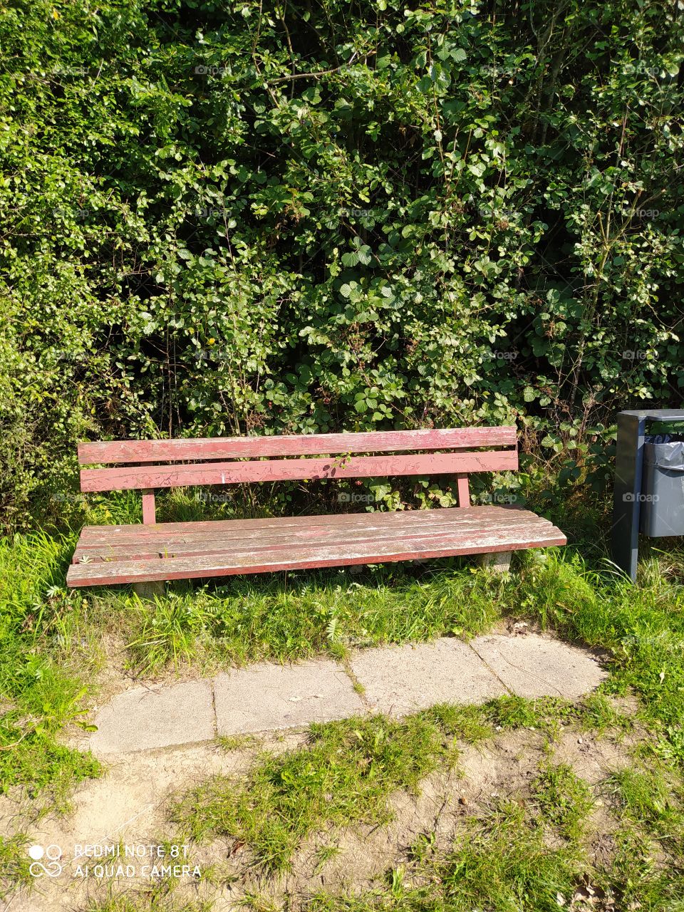 Bench in the park