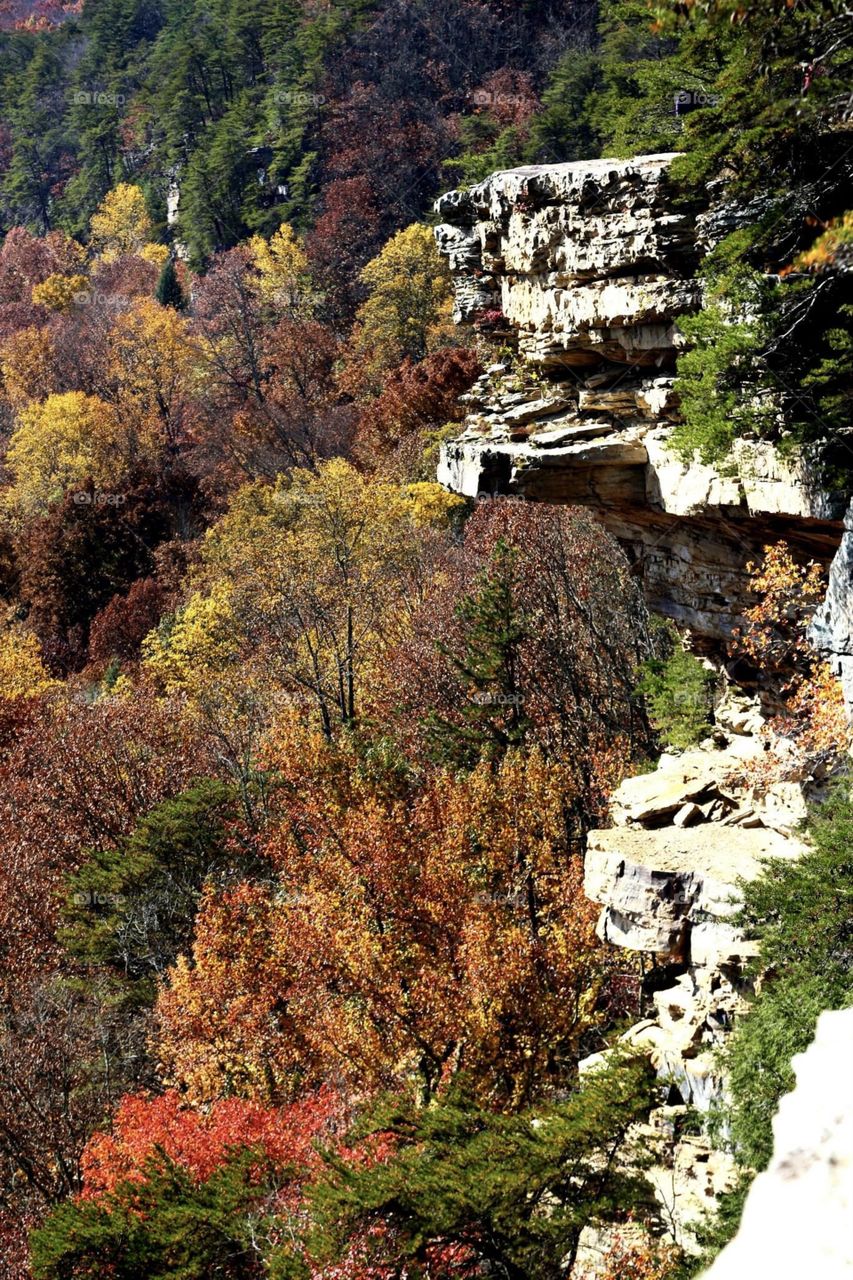 Landscape, Fall, rock, bluff, cliff, autumn 