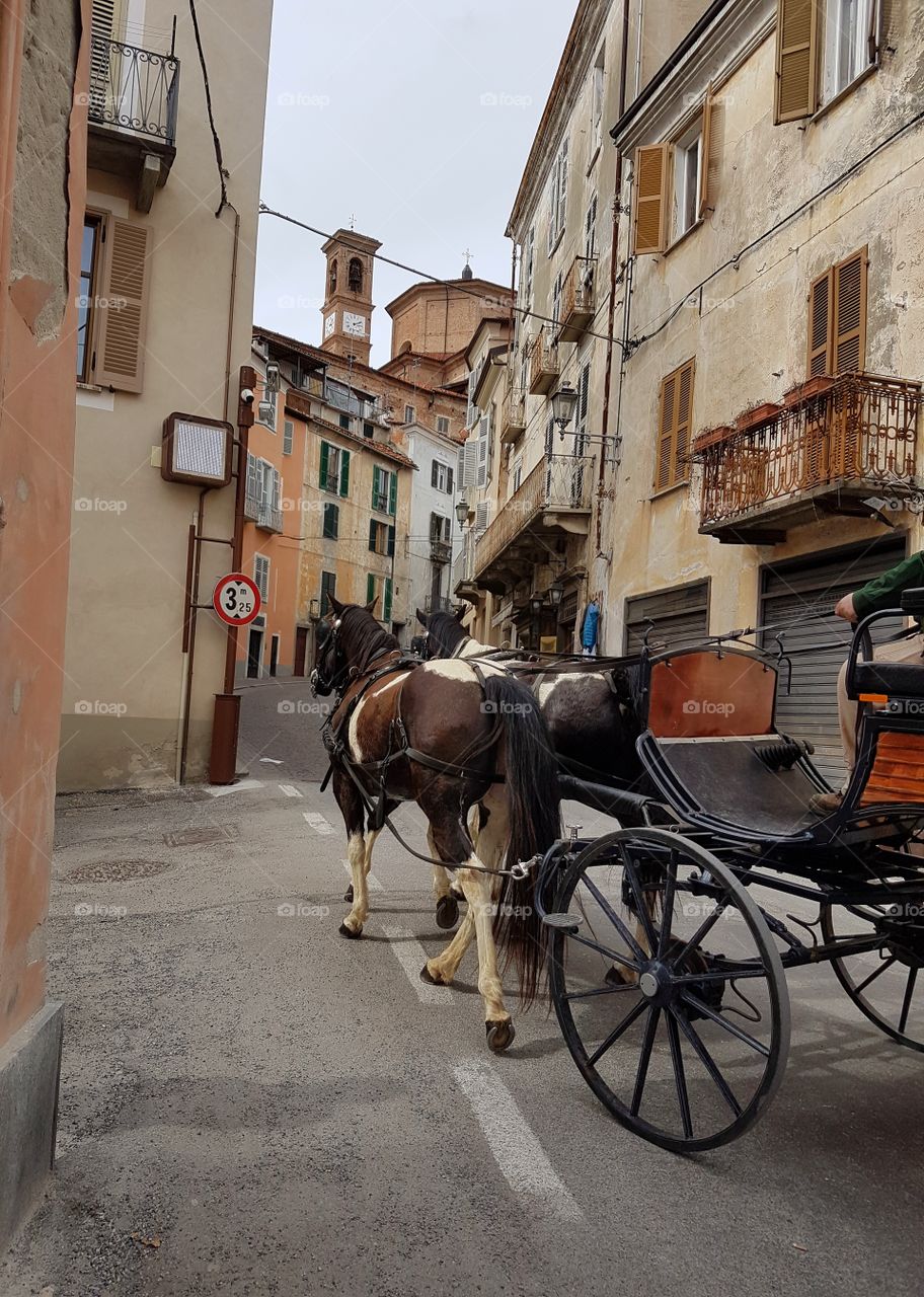 Horses and gig in the street of an old italian village