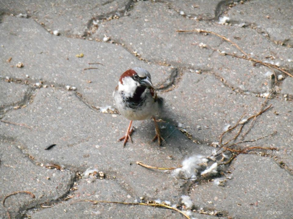 Beach, Nature, Sand, No Person, Seashore