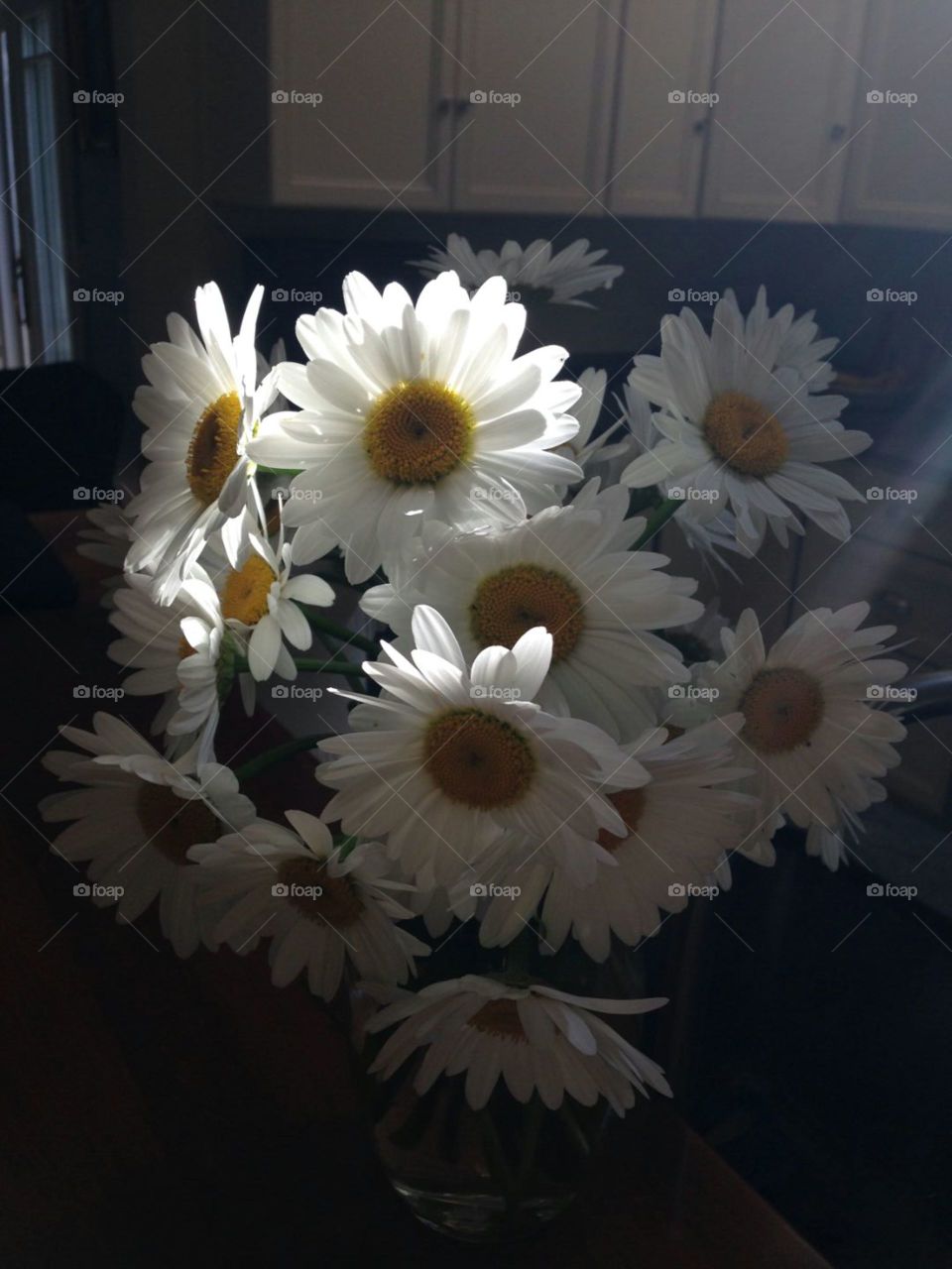 Daisy days. took in my kitchen with skylight sun shine.