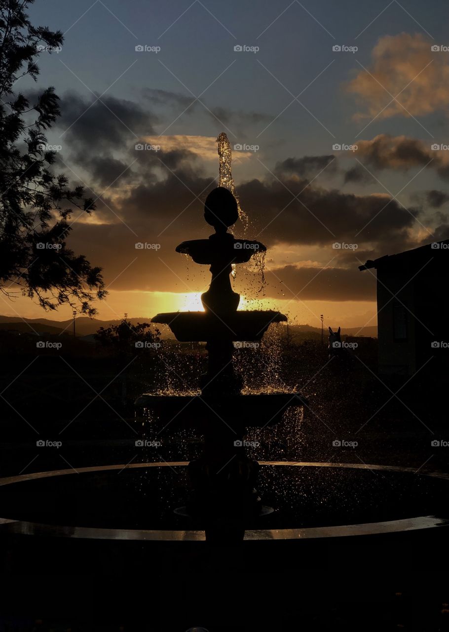 the sun, light and water