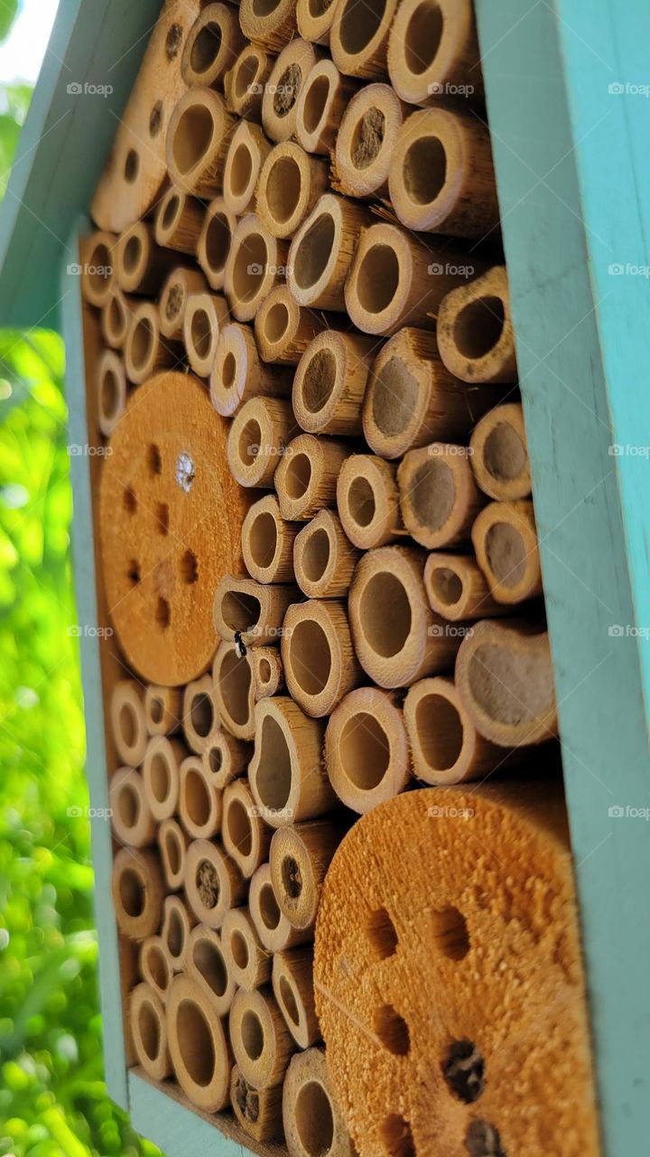 bee house