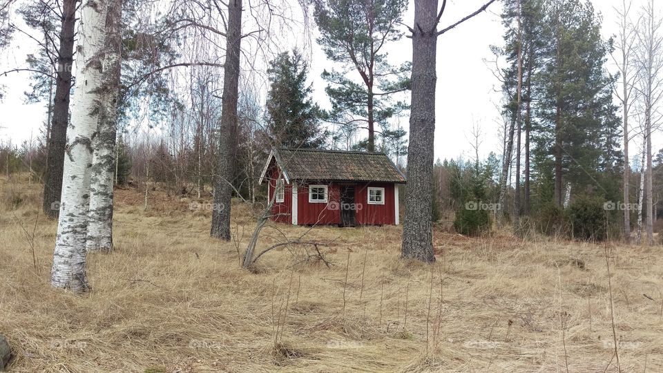 House in the forrest, Kolmarden, Sweden 