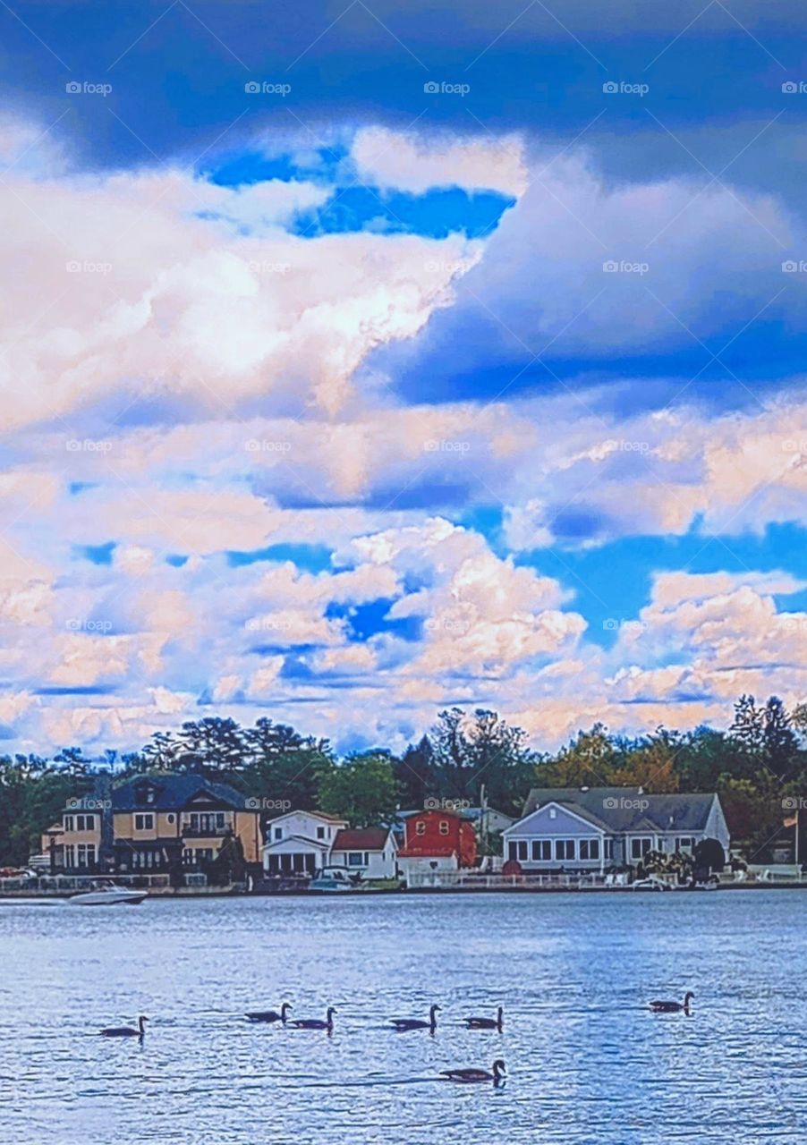 Lakeside Geese on a Cloudy Day