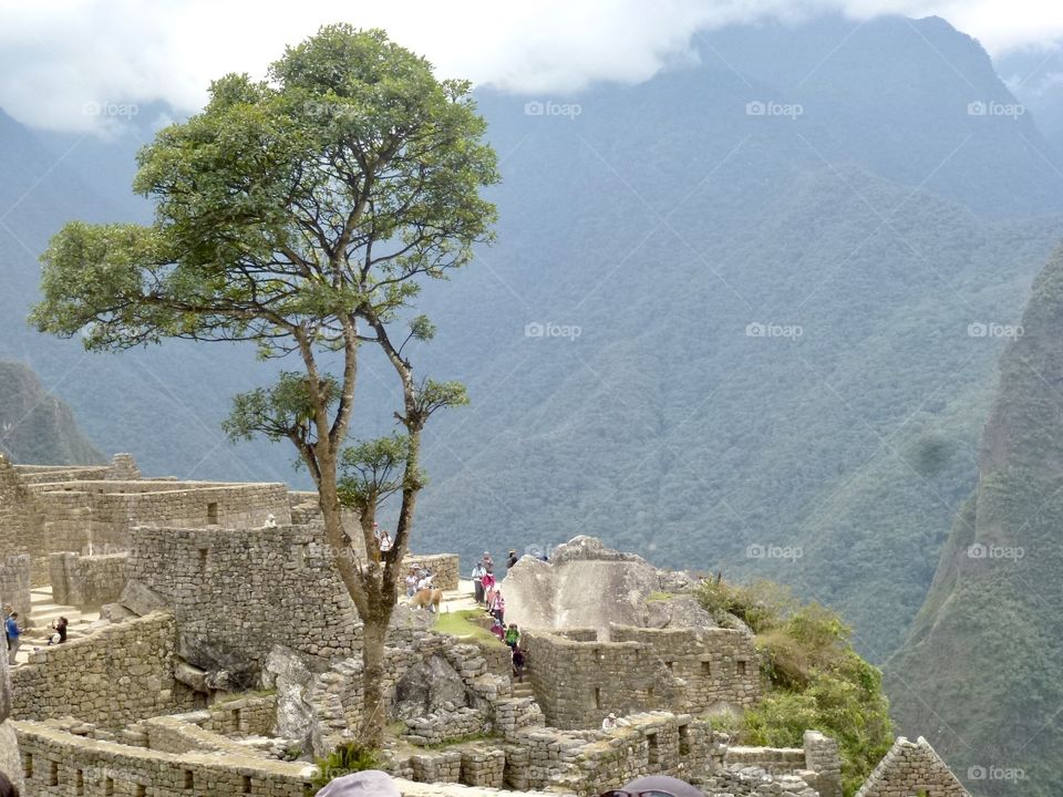 Machu Picchu 
