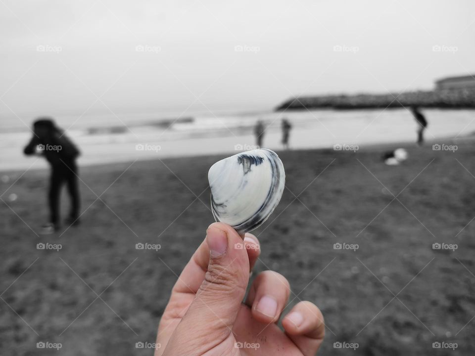 Shellfish via sea background