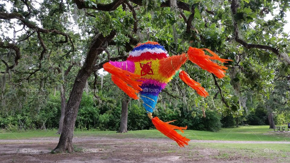 la piñata en el park